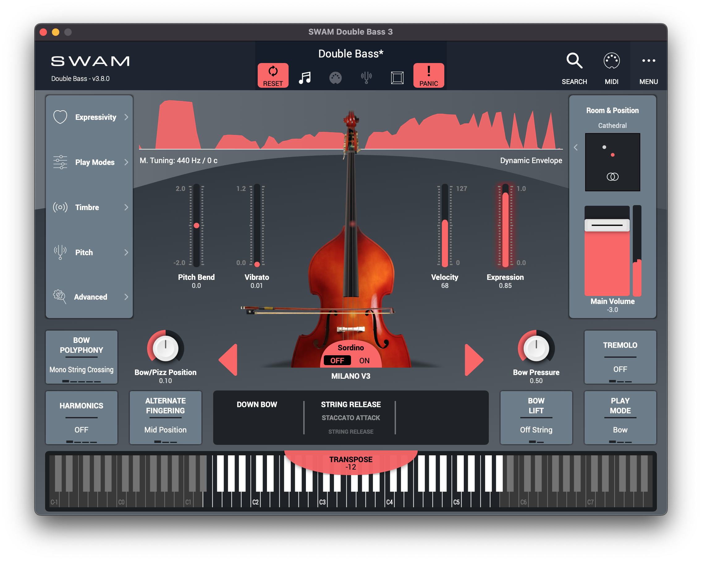 SWAM Double Bass - Hình 2